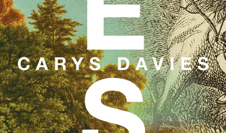 literatur Davies WEST cover
